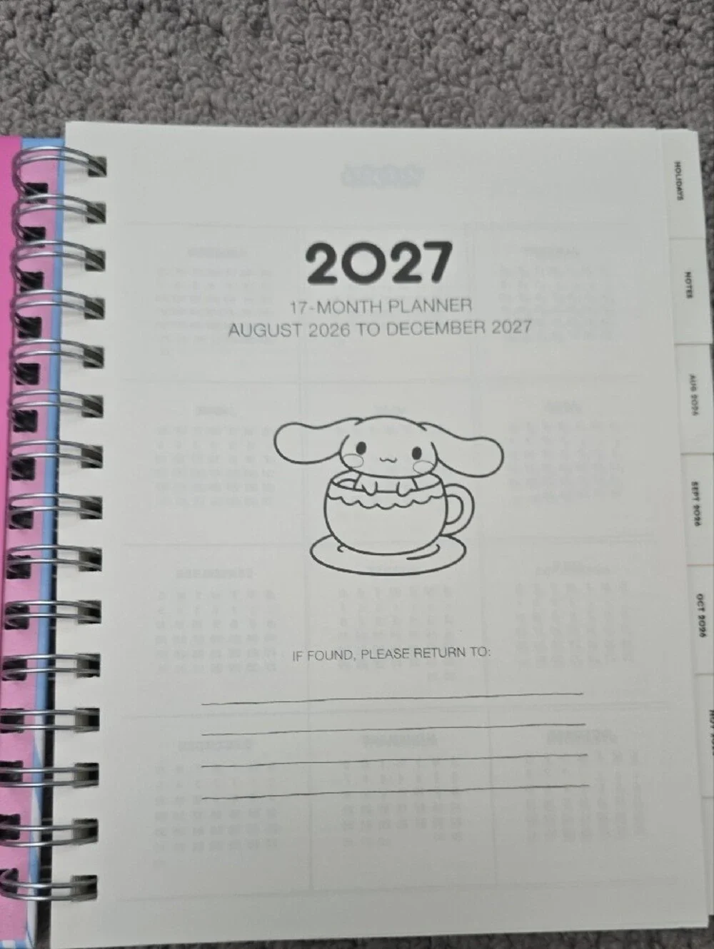 Sanrio 2027 cinnamoroll